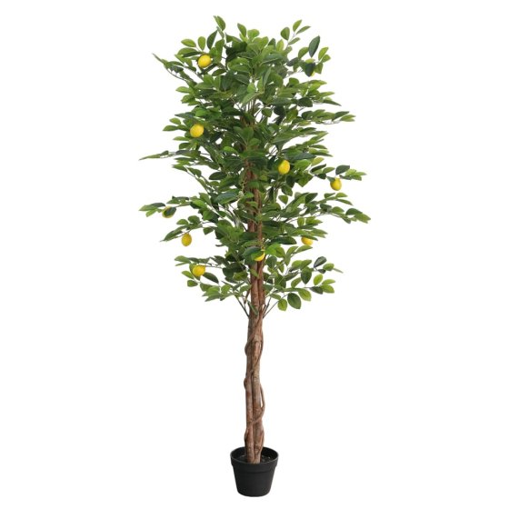 Limonero artificial con 3 troncos PP verde 180 cm